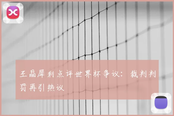 王晶犀利点评世界杯争议：裁判判罚再引热议