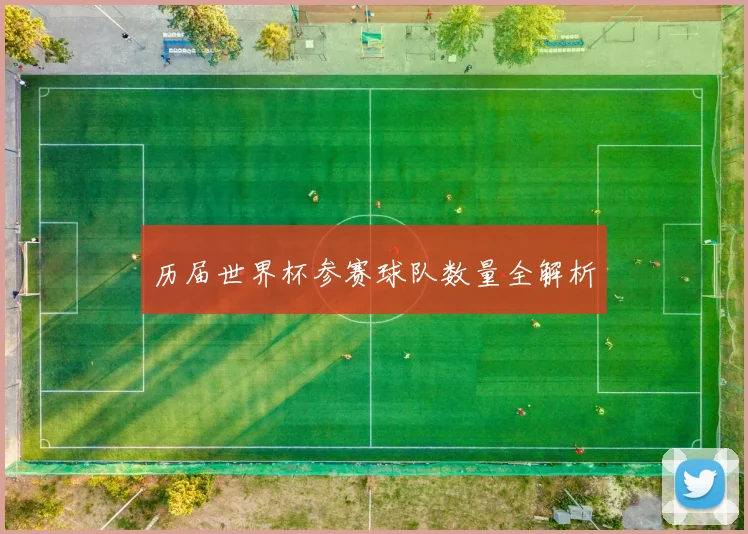 历届世界杯参赛球队数量全解析