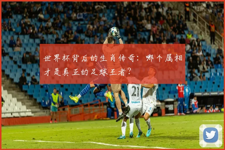 世界杯背后的生肖传奇:哪个属相才是真正的足球王者?