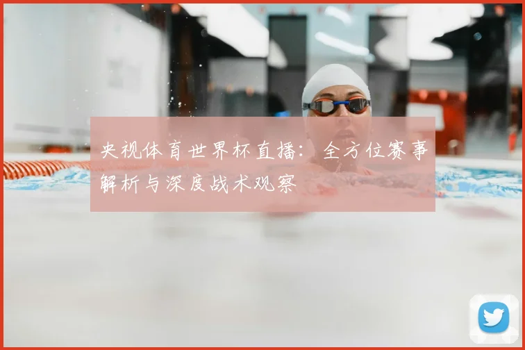 央视体育世界杯直播：全方位赛事解析与深度战术观察