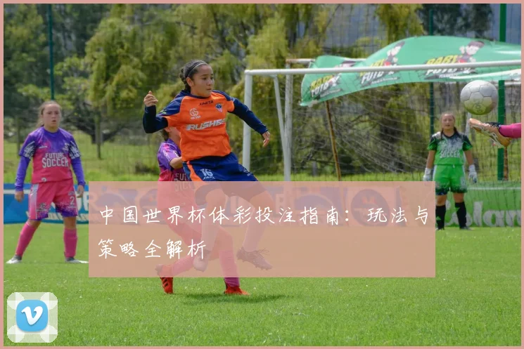 中国世界杯体彩投注指南：玩法与策略全解析