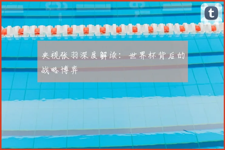 央视张羽深度解读：世界杯背后的战略博弈