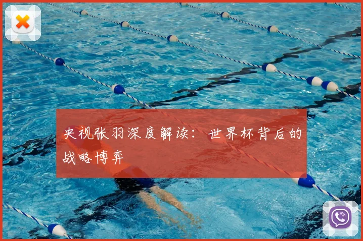 央视张羽深度解读：世界杯背后的战略博弈