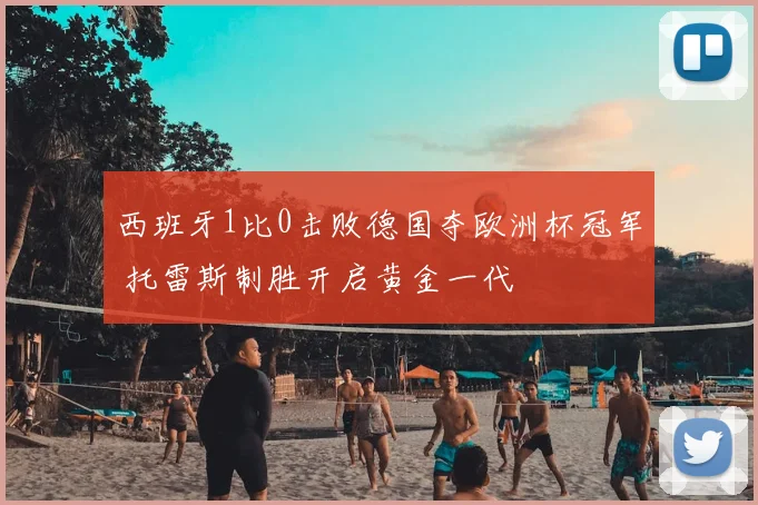 西班牙1比0击败德国夺欧洲杯冠军 托雷斯制胜开启黄金一代