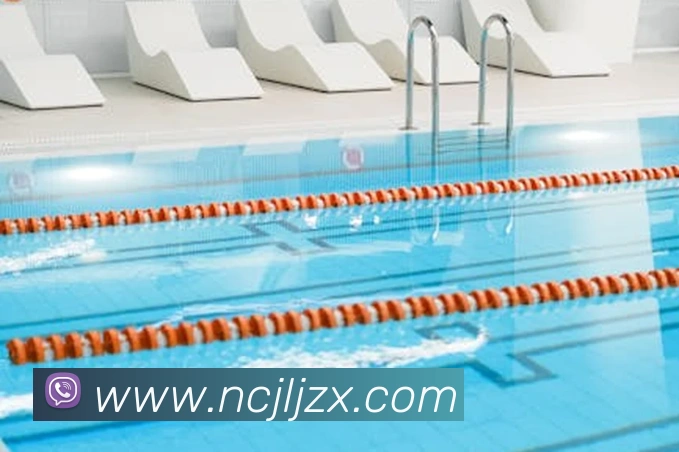 App Interface Preview